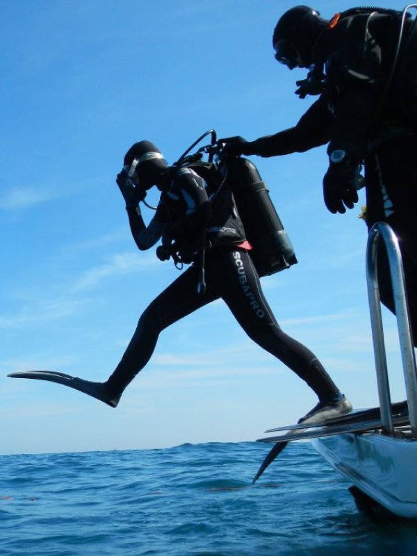 ape_divers_idc_2